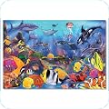 Floor Puzzles
