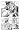 Rave Master: v. 14
