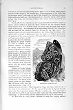 自然史 1896 の燦びやかなクラウディオス・プトレマイオスのチョウ目 プトレマイオス