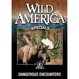 Dangerous Encounters