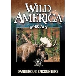 Dangerous Encounters