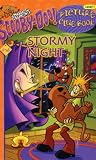 Stormy Night (Scooby-Doo! Picture Clue Book (Pb))