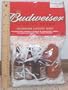 Budweiser Beer Bottle+Football HOLIDAY STRING LIGHT SET
