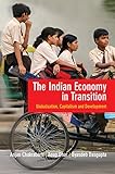 The Indian economy in transition : globalization, capitalism and development