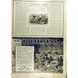 1916 POULTRY INDIAN RED-JUNGLE FOWL THREE NUNS TOBACCO