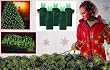 4' x 6' Green LED Net Style Tree Trunk Wrap Christmas Lights - Green Wire