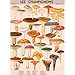 Cavallini Decorative Paper - Mushrooms 20