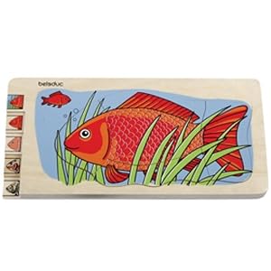 Beleduc Fish Five Layer Body Puzzle by Hape