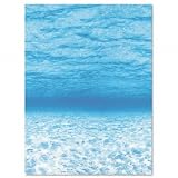 Pacon 56525 Pacon Fadeless Designs 48" x 50 Boxed, Oceans