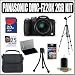 Panasonic DMC-FZ28K 10MP Digital Camera (Black) + 2GB Accessory Kit