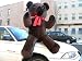 Search : GIANT 68" JUMBO BIG PLUSH DARK BROWN COLOR CLASSIC STUFFED ANIMAL TEDDY BEAR GIANT STUFFED ANIMAL GIFT - AMERICAN MADE IN THE USA AMERICA