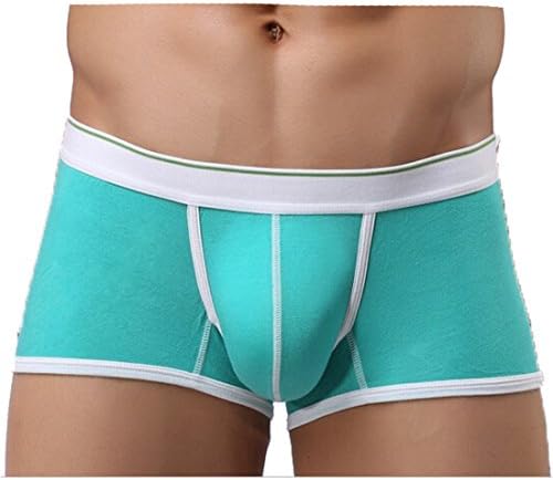 Yiqistore Mens Fashion Sexy Lowwaist Modal Boxer Briefs Breathable Underpants (L, sky blue)