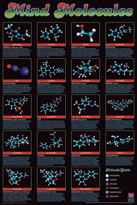 Mind Molecules Chart Art Poster Print - 24x36