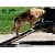 FOLDING WOODEN DOG RAMP/ A HELPING HAND FOR YOUR DOG/ BRAND NEW