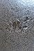 Frosted Glass - 72"H x 48"W - Peel and Stick Wall Decal by Wallmonkeys