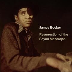 Ressurection of the Bayou