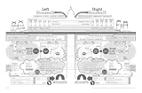 picture of Information is Beautiful