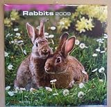 Kaninchen Rabbits 30x60 Wand-Kalender Broschürenkalender 2009 Neu OVP