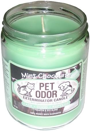 Mint Chocolate Pet Odor Candle