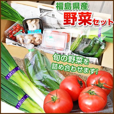 釜庄 送料込み 福島産野菜セット トマト しいたけ きゅうり ネギ等、福島県産旬の野菜を7～8種類お届け★肉味噌お試しキャンペーン中