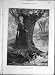 1873 Drifting Away Cauty Art Print Lady River Flower