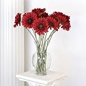 Gerber Daisy Silk Flower Stems - Crimson Set of 6