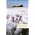 Emma's Gift (The Wortham Family Series #2)