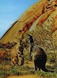 3D Lenticular POSTCARD-KANGAROO