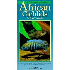 Fishkeepers Guide to African Cichlids