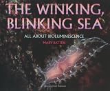 Winking, Blinking Sea