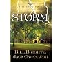 Storm: 1798-1800 (The Great Awakenings Series #3)
