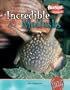 Incredible Mollusks (Incredible Creatures)
