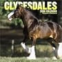 Clydesdales 2006 Pet Calendar (Horses Wall Calendars)