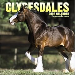 Clydesdales 2006 Pet Calendar (Horses Wall Calendars)