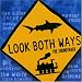 Look Both Ways