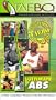 The Best of Tae-Bo - Ultimate Abs [VHS]