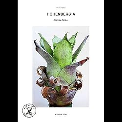 HOHENBERGIA -Serrate Tanks-