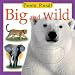Big and Wild (Feels Real!)