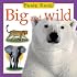 Big and Wild (Feels Real!)