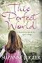 This Perfect World