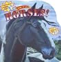 Horses! [With CD] (Know-It-Alls)