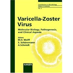 Varicella-Zoster Virus: Molecular Biology, Pathogenesis and Clinical Aspects (Contributions to Microbiology, 3)