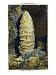 Howe Caverns, New York - Close-up View of the Chinese Pagoda Giclee Poster Print, 12x16
