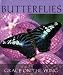 Book Butterflies: Grace on Wings (Little Books)