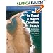 How to Read a North Carolina Beach: Bubble Holes, Barking Sands, and Rippled Runnels