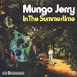 In The Summertime S/Reper