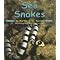 SNAKES