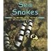 Sea Snakes (Ocean Life)