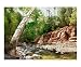 Oak Creek Canyon Places Giclee Poster Print by Patricia Ackor, 20x16