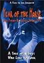 Year of the horse